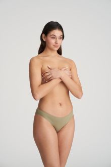 Color Studio golden olive